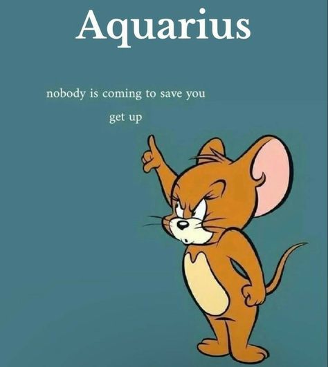 January Aquarius Vs February Aquarius, Aquarius Characteristics, Zodiac Signs In Order, Aquarius Funny, Star Signs Aquarius, Aquarius Traits, Aquarius Life, Aquarius Truths, Aquarius Love