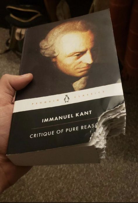 Philosophy Memes, You Are My Moon, Immanuel Kant, Literature Humor, Send Pics, Radical Feminism, Chaotic Academia, Franz Kafka, Penguin Classics