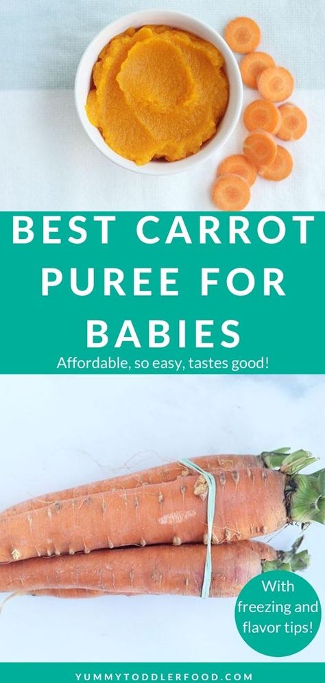 Turn fresh carrots into a simple, nourishing baby food with this easy method...no special baby food makers required. Plus, find easy ways to add flavor, combine it with other purees, and store it for future baby meals. #carrotpuree #babyfood #babyfoodideas #homemadebabyfood Carrot Baby Puree, Carrot Baby Food, Carrot Baby, Carrot Puree, Baby Food Puree, Baby Carrot Recipes, Baby Food Combinations, Butternut Squash Puree, Baby Puree Recipes