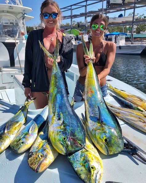 @Jennifer_360_: 🥳🥳🐟🎣Rt if you love fishing🥳🥳🐟🎣 #Fishing #fishinglife #fishingtime #FishingGirls #fishingtrip #fish... Fishing Pole Decor, Women Fly Fishing, Fishing Girl, Dolphin Fish, Girls Fishing, Salt Water Fishing, Salt Water Fish, Boat Pics, Bowfishing