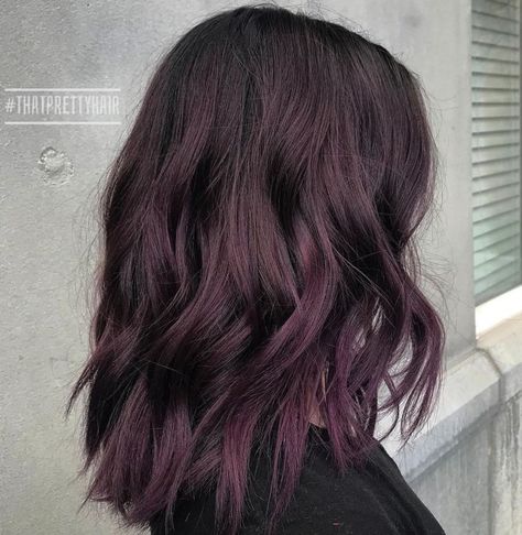 Black Hair With Purple Tint, Burgundy Hair Dark, Black Hair With Purple, Hair With Purple, Shades Of Burgundy Hair, Medium Black Hair, Dark Burgundy Hair, Dark Chocolate Hair, Purple Balayage