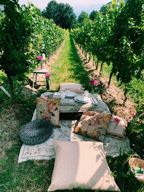 French Camping, Tuscany Italy Vineyards, Vineyard Picnic, Harvest Board, Tuscan Backyard, Vineyard Decor, Vegan Picnic, Luxury Picnics, Picnic Inspiration