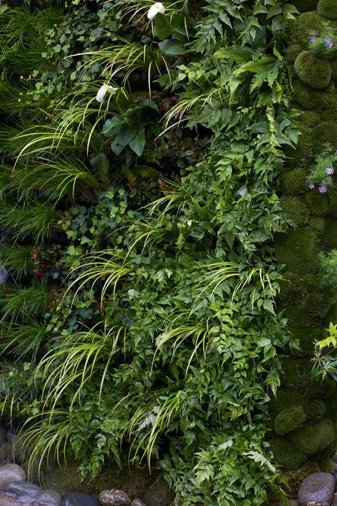 How to make a living wall – an easy step by step guide | Real Homes Living Wall Ideas Outdoor, How To Vertical Garden, Garden Plant Wall Ideas, Living Outdoor Wall, How To Make A Living Wall Outdoors, Diy Live Wall Outdoor, Diy Green Wall Outdoors, Making A Green Wall, Green Living Wall Indoor