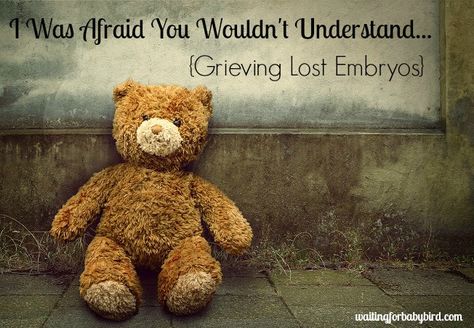 Lonely Teddy bear Embryo Loss, Ivf Tips, Pregnancy Loss Awareness, Infant Loss Awareness Month, Adoption Photos, Infant Loss Awareness, Pregnancy And Infant Loss, Waiting For Baby, George Sand