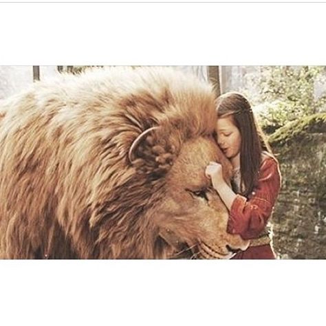 Narnia👌  #Narina#Aslan#Lucy#LucyandAslan Narnia Lucy, Lucy Movie, Lucy Pevensie, Prince Caspian, Cs Lewis, Chronicles Of Narnia, Lion Of Judah, Arte Fantasy, Narnia