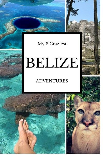 Swimming With Sharks, Belize Vacations, Belize City, Blue Hole, Belize Travel, Central America Travel, South America Travel, Adventure Tours, Future Travel