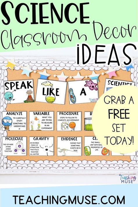 This image contains: A bulletin board for the science classroom with ideas 1st Grade Science Bulletin Board, Decorate Science Classroom, Classroom Science Posters, Science And Social Studies Bulletin Board, Science Wall Classroom, Science Classroom Inspiration, Learning Lab Classroom Decor, Elementary School Decorations, Science Classroom Wall Decorations