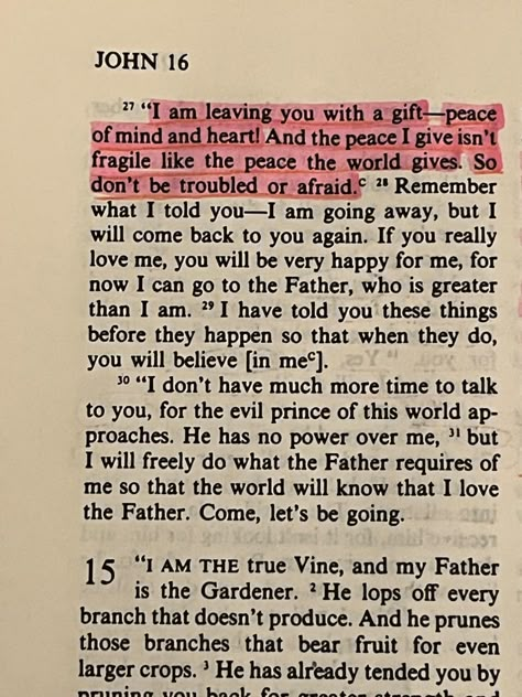 Comforting Bible Verses, Favorite Scriptures, Wise People, Christian Bible Study, Christian Girl, Bible Study Verses, Bible Motivation, Bible Notes, Christian Bible Quotes