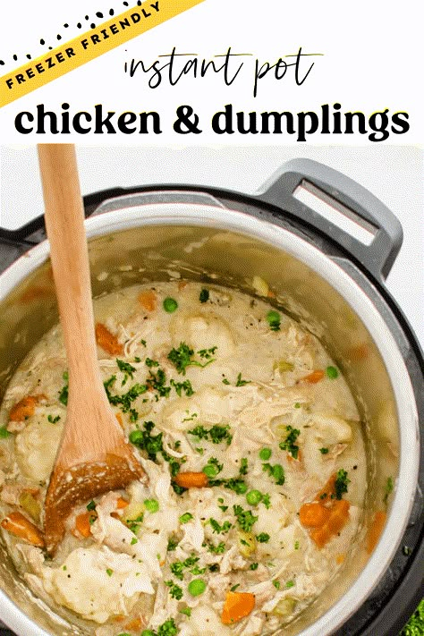 Instant Pot Chicken And Dumplings, Instant Pot Freezer, Instant Pot Freezer Meals, Best Freezer Meals, Thriving Home, Chicken Pot Pie Soup, Pot Pie Soup, Healthy Freezer Meals, Pressure Cooker Chicken