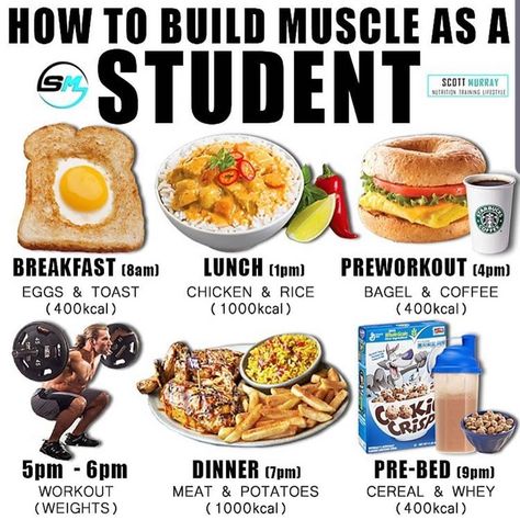 Muscle Gain Meal Plan, Bulking Meals, Healthy Weight Gain Foods, Food To Gain Muscle, Workout Meal Plan, Weight Gain Meals, Healthy High Protein Meals, Gym Food, Muscle Food