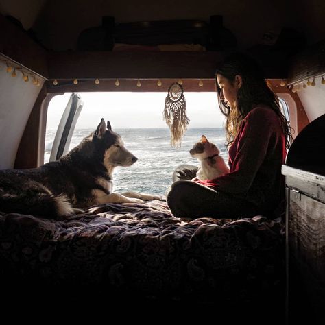 Big Tuna Van | Vanlife on Instagram: “I miss our peacefull mornings in the van, I miss the ocean and our freedom.  We can't wait to hit the road again and wake up in random…” Dog Van Life, Van Life Cat, Travel With Cats In Car, Vanlife With Cats, Vanlife With A Dog, Road Trip With Dog, Hippie Van, Very Cute Dogs, Travel Van