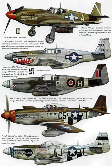 P-51 Mustang paint schemes Ww2 Fighter Planes, Wwii Fighter Planes, Us Military Aircraft, P 51 Mustang, Wwii Airplane, Wwii Fighters, Wwii Plane, Airplane Art, Air Fighter