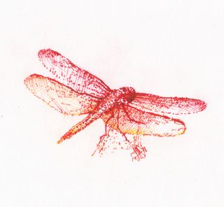 redragonfly  tattoo design