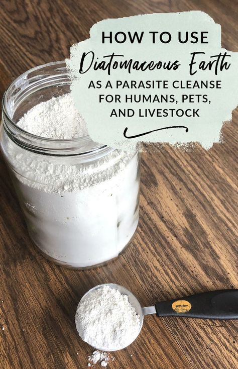 Parasites In Humans, Diatomaceous Earth Food Grade, Parasite Cleanse, Natural Healing Remedies, Home Health Remedies, Herbal Healing, Herbs For Health, Holistic Remedies, Diatomaceous Earth