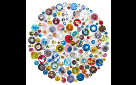 Klari Reis, one of the Telegraph's top 10 highlights of the London Art Fair 2014. Klari Reis, Microscopic Cells, Growth And Decay, Petri Dishes, A Level Art Sketchbook, Photography Themes, Petri Dish, A Level Art, Science Art