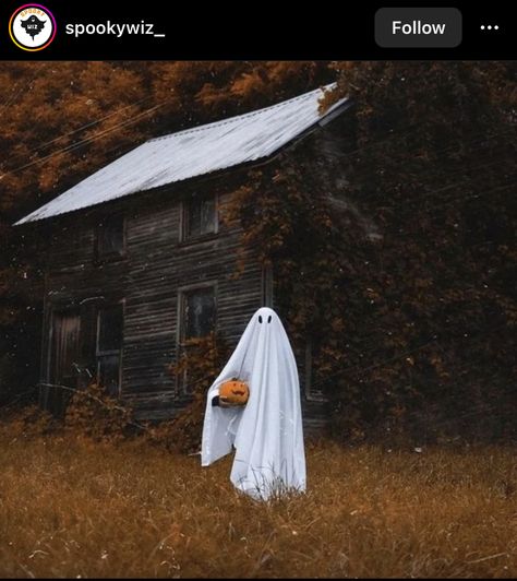 Halloween Shot Ideas, Helloween Wallpaper, Hallowen Ideas, Halloween Witch Decorations, Ghost Photography, Halloween Photography, Magical Home, Ghost Pictures, Ghost Photos