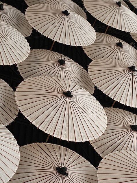 Japanese Parasol, Theme Pics, Oil Paper Umbrella, Umbrella Photography, Umbrella Decorations, Japanese Umbrella, Paper Umbrellas, Japan Culture, Japanese Aesthetic