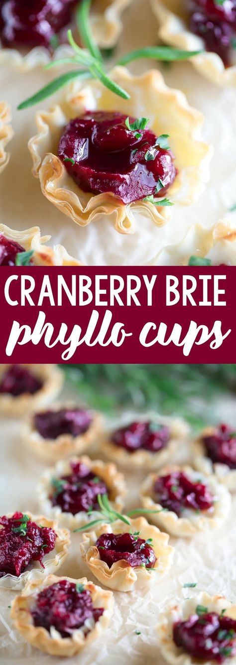 Cranberry Brie Phyllo Cups are always a hit! This easy yet elegant appetizer features crisp phyllo shells filled with creamy brie cheese and warm cranberry sauce. #cranberry #cranberries #cranberrysauce #brie #cheese #phyllocups #phyllo #phylloshells #partyfood #appetizer #vegetarian #holidayrecipes Brie Bites Phyllo Cups, Phyllo Brie, Brie Cranberry Appetizer Phyllo, Brie Tartlets Phyllo Cups, Cranberry Brie Bites Phyllo, Brie Cranberry, Phyllo Cups, Leftover Cranberry Sauce, Elegant Appetizers