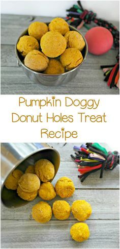 Skip the sugar-laden drive through freebie and whip up a batch of these pumpkin doggy donut holes hypoallergenic dog treats for your pooch! Hypoallergenic Dog Treats, Homemade Dog Cookies, Homemade Pet Treats, Pet Treats Recipes, Recetas Halloween, Dog Treat Recipe, Dog Biscuit Recipes, Easy Dog Treats, Pumpkin Dog Treats