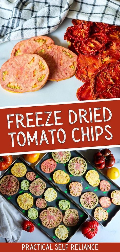 Learn how to make freeze dried tomato chips that last for years while retaining their fresh, vibrant flavor. Perfect for adding to your favorite recipes or enjoying as a healthy snack, freeze-dried tomatoes are a fantastic way to preserve your summer harvest. Find more food preservation, storing food ideas, preserving tomatoes, and Long Term Food Storage at practicalselfreliance.com. Freeze Drying Tomatoes, Healthy Freeze Dried Snacks, Rehydrating Freeze Dried Food, Freeze Dried Food Recipes, Freeze Dried Snacks, Tomato Chips, Freeze Drier, Best Emergency Food, Storing Food Long Term