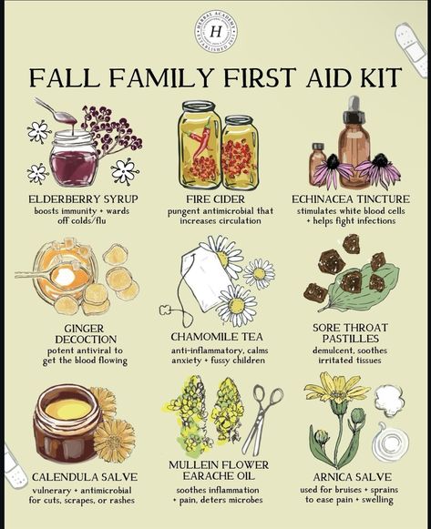 Family First Aid Kit, Herbal First Aid Kit, Herbal First Aid, Apopka Florida, Herbal Academy, Herbal Remedies Recipes, Medical Herbs, Sustainable Gardening, Magic Herbs