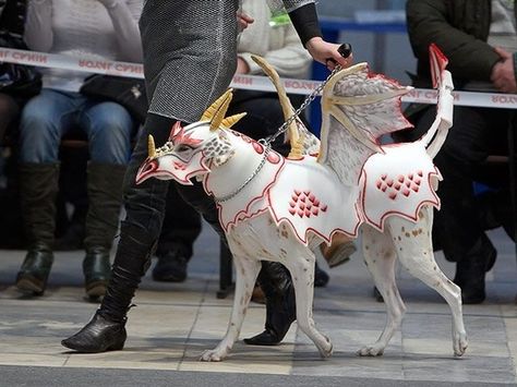 Diy Pet Costumes, Best Dog Halloween Costumes, Halloween Camping, Pet Halloween Costumes, Animal Costumes, Dog Halloween Costumes, Dog Costumes, Dog Costume, Halloween Animals