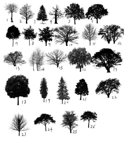 Free Brushes For Procreate, Tree Photoshop, Digital Painting Photoshop, Urban Design Graphics, Free Brushes, Illustrator Brushes, Free Procreate, Procreate Ipad Art, Procreate Brushes Free