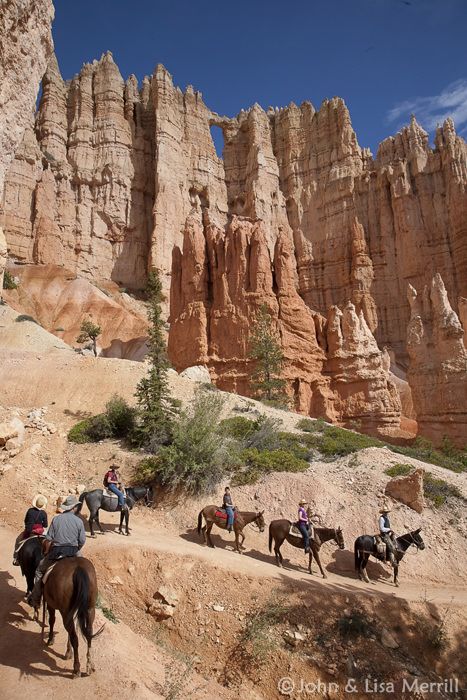 Bryce Canyon Horseback Riding | Bryce Canyon Horseback Tours Adventure Wallpaper, Abstract Hd, Bryce Canyon National Park, Bryce Canyon, Us National Parks, Trail Riding, Rock Formations, Zion National Park, Abstract Wallpaper