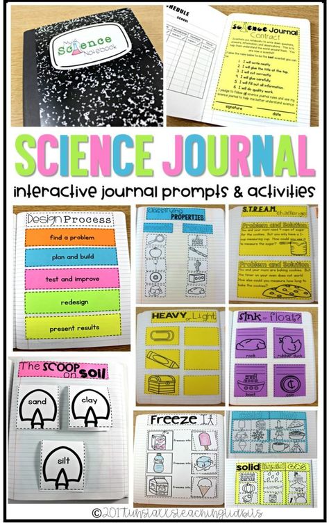 Science Journal Prompts, Interactive Journal, Second Grade Science, 1st Grade Science, Interactive Journals, First Grade Science, Science Notebook, Interactive Science, Science Notebooks