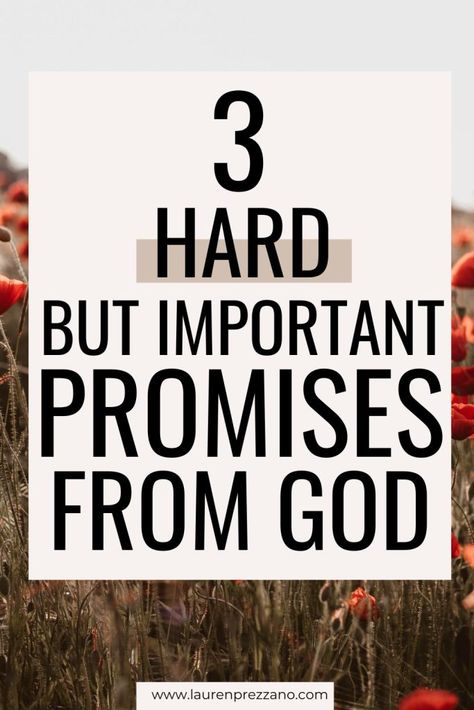 Learn three hard but important promises from God| promises of God | promises of God scriptures | promises from God bible verses God’s Promises Bible Verse, Promises Of God Scriptures, Gods Promises Quotes, God Bible Verses, God Scriptures, God Promises, Promises Of God, Father Son Holy Spirit, Jesus Today