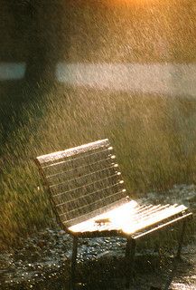 winter.quenalbertini: A wonderful rain | by omnia mutantur Rain Photo, I Love Rain, Bench Seats, Rainbow Rain, Rain Storm, Love Rain, Sun Shining, Photo Stock Images, Singing In The Rain