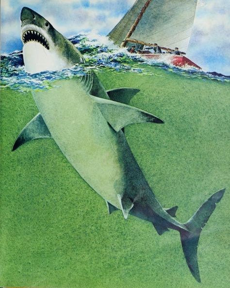 Illustration by Rod Ruth for ‘Album of Sharks’ by Tom McGowen Retro Shark Art, Shark Books, Shark Illustration, Shark Jaws, Creepy Vintage, Shark Art, Wildlife Artists, Movie Photo, Ocean Creatures