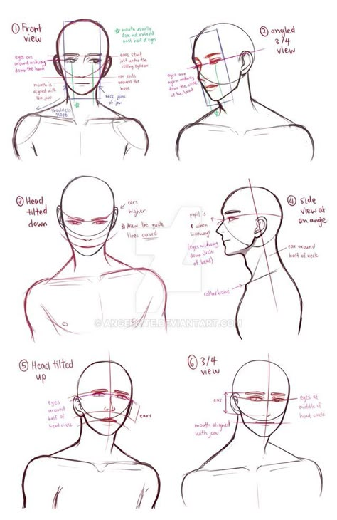 Male Head Side View Drawing, Head Atonamy, Male Atonamy, Male Atonamy Reference, Male Bust Drawing Reference, Bust Up Pose Reference Male, Side Face Drawing Male, Head Views Reference, Male Bust Reference