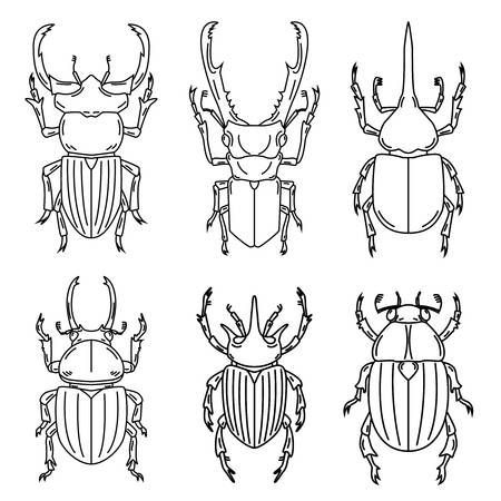 Category: Cardboard Insects! - Mrs. Castellano's 심플한 그림, Bug Tattoo, Insect Tattoo, Outline Illustration, Bug Art, Insect Art, Bugs And Insects, Beetles, Embroidery Inspiration