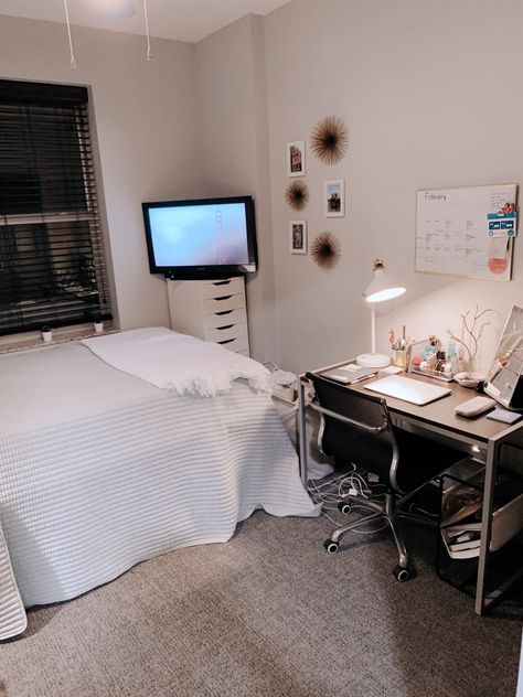 Medical Dorm Room, Dorm Setup, University Of Kentucky Dorm, Uni Bedroom, Flat Bedroom, University Accommodation, University Rooms, Uni Dorm, Bedroom Things