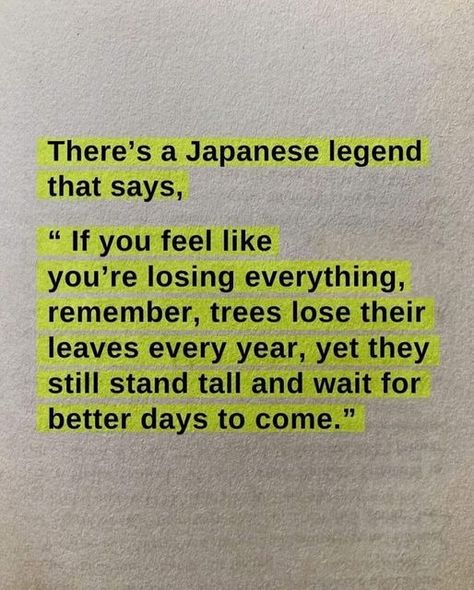 Japanese Motivational Quotes, Japanese Motivation, Quotes Japanese, Steven Bartlett, Best Quotes From Books, Self Inspirational Quotes, Self Healing Quotes, Postive Life Quotes, Dear Self Quotes