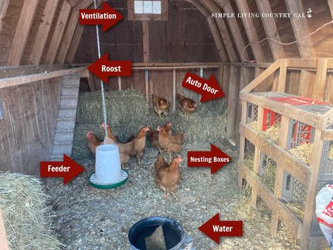 This easy guide on how to layout the inside of a chicken coop in a way that your flock will thrive in, as well as make it easy for you to maintain it. From food and water to laying eggs and protection. Get the reason why you need each component so you can choose the best area to locate it inside the coop. Crate Nesting Boxes, Milk Crate Nesting Boxes, Cool Chicken Coop, Pallet Backyard, Chicken Coop Layout, Decorating Backyard, Coop Layout, Inside Chicken Coop, Coop Decor