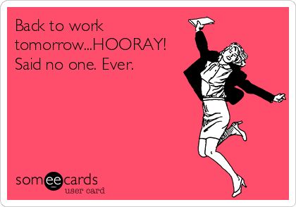 Back to work tomorrow...HOORAY! Said no one. Ever. Image Meme, Funny Confessions, Funny Sayings, School Holidays, Back To Work, Someecards, Bones Funny, Plexus Products, Back Pain