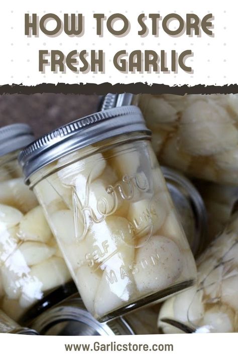 how-to-store-fresh-garlic How To Store Fresh Garlic Cloves, How To Store Fresh Garlic, Storing Peeled Garlic, How To Keep Garlic Fresh How To Store, Store Garlic Cloves How To, How To Preserve Peeled Garlic, How To Store Peeled Garlic, How To Keep Garlic Fresh, Fresh Garlic Storage