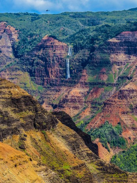 Kalalau Lookout, Tropical Forests, Waimea Canyon, Wet Spot, Pacific Islands, Island Paradise, Nice Pictures, Volcanic Rock, Tropical Forest