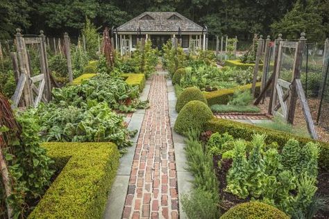 French Vegetable Garden, Vegetable Garden Design Ideas, Herb Garden Design, Potager Garden, Organic Vegetable Garden, Veg Garden, Garden Design Ideas, Vegetable Garden Design, French Garden