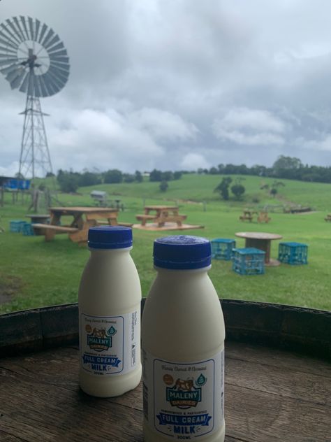 milk bottles farm fresh milk aesthetic white milk farm fair aesthetic cow milk minimalistic style containers milk tea core mouthwatering delicious yummy soft look farm core clean farmland aesthetic cottage core picnic spot in brisbane queensland Milking Cows Aesthetic, Cow Milk Aesthetic, Fresh Milk Aesthetic, Milk Aesthetic White, Farmland Aesthetic, Tea Core, Cottage Core Picnic, Milk Aesthetic, Aesthetic Cow