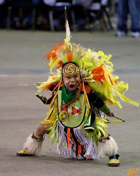 WeeeeCha!!!! Powwow Outfits, Native American Dance, Native American Children, Learning Board, Oki Doki, Native Pride, Native American Pictures, Native American Photos, American Children