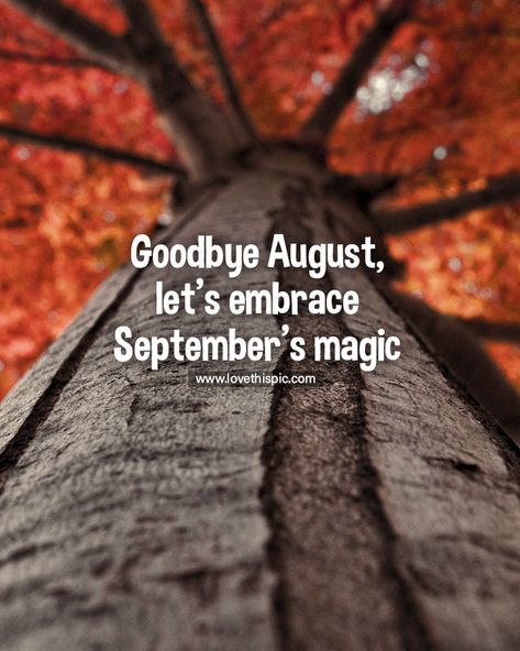 Goodbye August, let’s embrace September’s magic months month september hello september september quotes welcome september happy september hello september quotes Hello September Quotes, Goodbye August, September Hello, Magic Pictures, Autumn Favorites, September Quotes, Welcome September, Happy September, Hello September