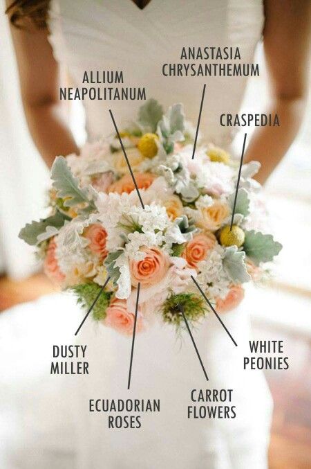 Floral components with names! How useful. Peach And White Wedding Flowers, Peach And White Wedding, Bouquet Recipes, Bridal Bouquet Peach, Bouquet Recipe, Peach Wedding Flowers, Peony Bouquet Wedding, White Bridal Bouquet, Peony Wedding