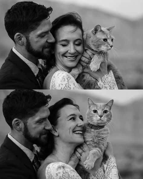 Wedding Photos With Cats, Engagement Photos With Cats, Cat Family Photos, Cat Family Photo, Cat Family Portrait, Cat Photoshoot, Pets Wedding, Fall Wedding Photography, Outdoor Elopement