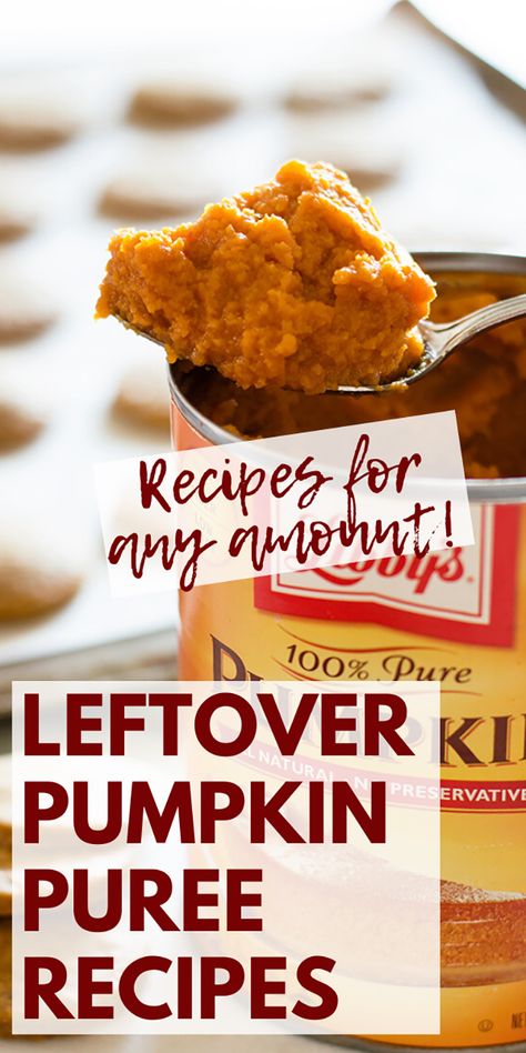 Leftover Pumpkin Puree, Canned Pumpkin Recipes, Puree Recipes, Paleo Pumpkin Pie, Pumpkin Puree Recipes, Pumpkin Recipes Easy, Leftover Pumpkin, Pumpkin Recipes Dessert, Pumpkin Caramel