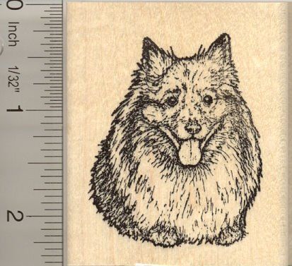 Happy Keeshond Dog Gizmo Rubber Stamp -- Click image to review more details. Keeshond Dog, Craft Printing, Kinds Of Dogs, Foil Stamping, Name Cards, Wood Blocks, Rubber Stamps, Game Art, Dogs And Puppies