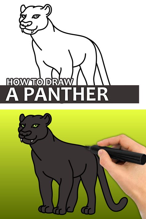 Learn how to draw a black panther with this step by step drawing tutorial video. Enjoy! ♥ #panther #pantherdrawing #animaldrawing #easydrawingforkids How To Draw A Black Panther, How To Draw A Panther, Panther Drawing Easy, Black Panther Animal Drawing, Panther Drawing, Black Panther Drawing, Zoo Drawing, Summer Camp Art, Florida Panther