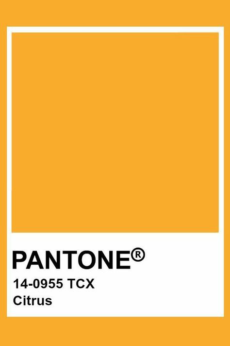 Yellow Colour Pantone, Pantone Colors Gold, Pantone Tcx Yellow, Yellow Pantone Colour Palettes, Pantone Colors Yellow, Yellow Pantone Color, Autumn Pantone, Gold Pantone Color, Yellow Gold Wallpaper